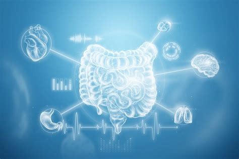 The Gut-Heart Connection: How Does Your Gut Affect Your Heart?