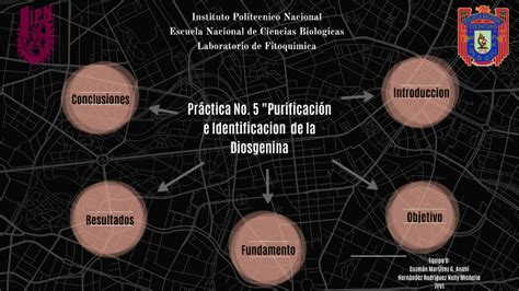 Identificación y purificación de la disogenina by Anahí Guzmán Martínez