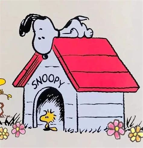 Pin By Jean Dumont On Snoopy Snoopy Wallpaper Snoopy Pictures