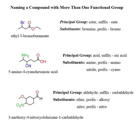 Amine Functional Group Examples