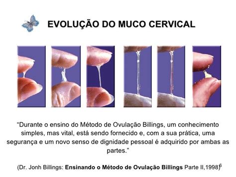Método Billings Para Iniciantes - Método de Billings
