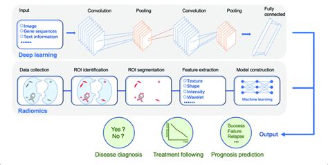 The Workflow Of Deep Learning And Radiomics ROI Region Of Interest