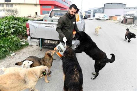 Son Dakika Esenyurt Belediyesi Haberleri Esenyurt Belediyesi Son Dakika