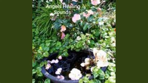 Angels Healing Sounds - YouTube