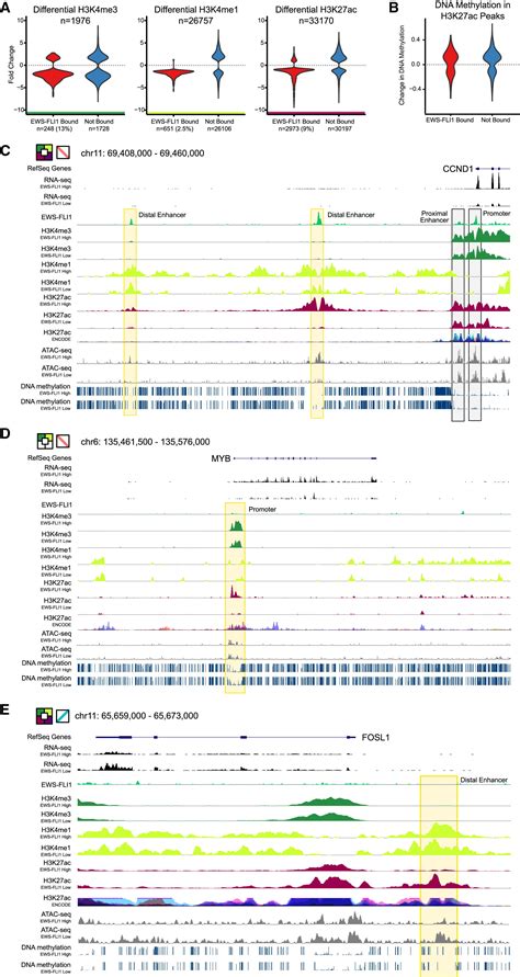 Epigenome Mapping Reveals Distinct Modes Of Gene Regulation And