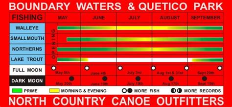 Ely MN Boundary Waters BWCA North Country Canoe Outfitters