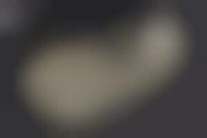 Pollution Absorbing Bikinis D Printed Bikini