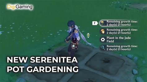 Serenitea Pot Gardening Guide New Update Genshin Impact Youtube