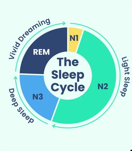 How Alcohol Affects Your Sleep Cycle Understanding The Impact On Dreams