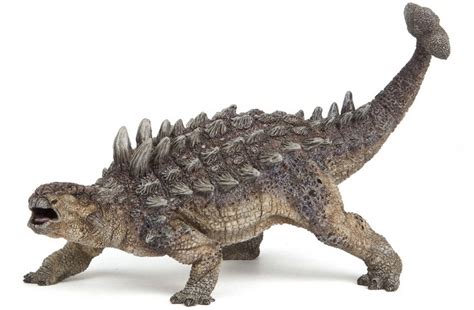 Meet The Ankylosaurus A Club Wielding Bone Breaking Brute Of A