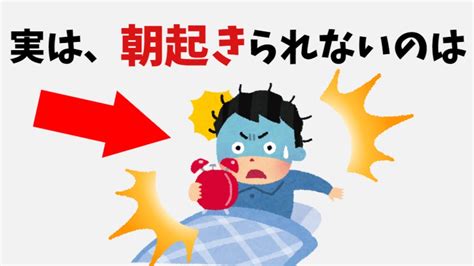 【有益】9割の人が知らない面白い雑学 雑学 健康 Youtube