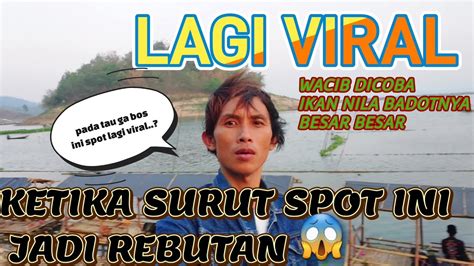 WAJIB DICOBA LAGI VIRAL IKAN BADOT IKAN RAME ADA BOS DISINImancing