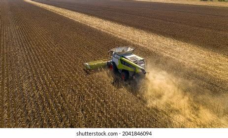 3,679 Sunflower Harvest Photos Stock Photos, Images & Photography ...