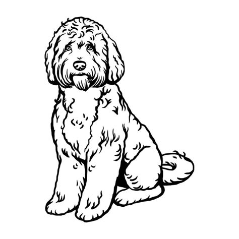 Labradoodle Mix dog - vector isolated illustration on white background Stock Vector Image by ...