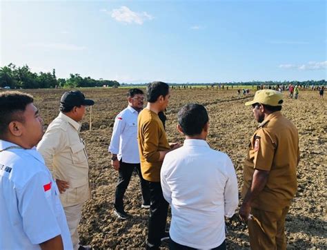 Jokowi Di Papua Kick Off Food Estate Siapkan Lahan Jagung 10 Ribu