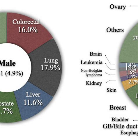 Frequency Of Secondary Primary Cancer According To Sex Download Scientific Diagram