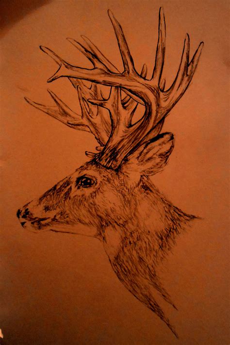 Printable Deer Wood Burning Patterns