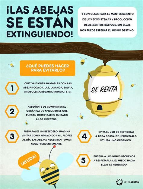 ¿cómo Podemos Evitar La Extinción De Las Abejas Abejas Salud Y