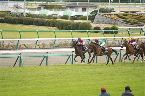 日経新春杯2025いきなり競馬予想｜ヴェローチェエラに【0204】危険データ！ ｜ わがまま♪新馬券生活～ふくたんの競馬予想～