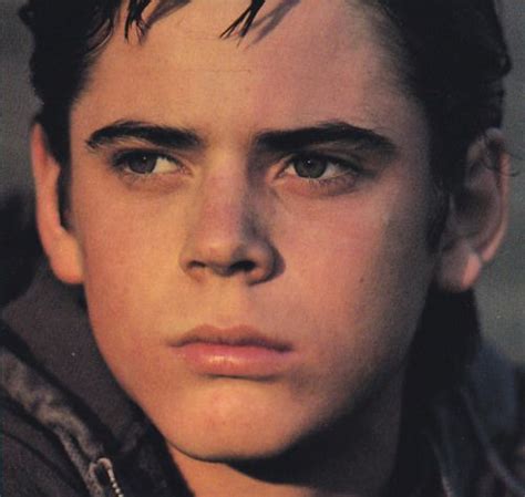 Ponyboy The Outsiders 1983 The Outsiders Ponyboy The Outsiders