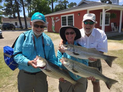 Santee Cooper Fishing Tours Striper Bass Catfish And More