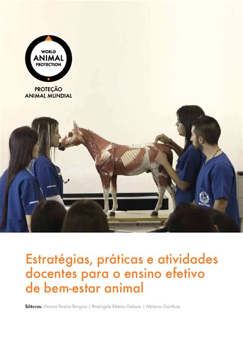 Pdf Estratégias Práticas E Atividades Docentes Para O Ensino Efetivo