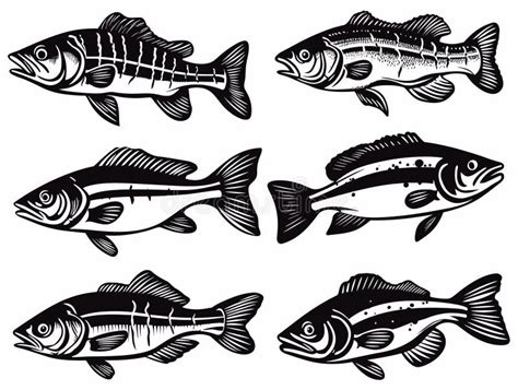 A Group Of Fish In Different Poses Bass Fish Icons Isolated On White