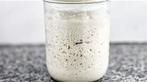 So Easy Gluten Free Sourdough Starter Easy To MAINTAIN With No DAILY