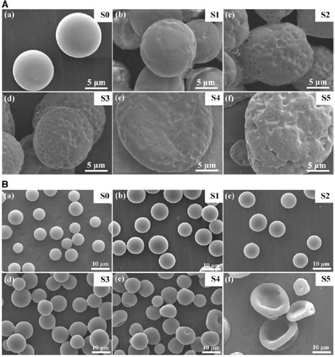 Typical Morphologies Of BSA Loaded PLGA Microspheres Prepared With