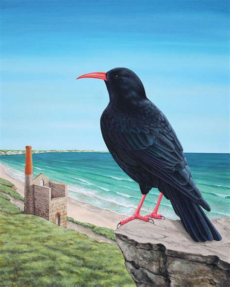 Cornish Chough Painting Original Bird And Wildlife Life Art For Sale