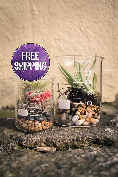 Single Beaker Terrarium Kit Natural Diy Terrarium Science Lab Science Lover Scientist T