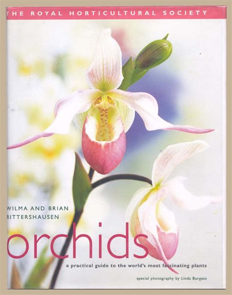 Orchids A Practical Guide To The World S Most Fascinating Plants By