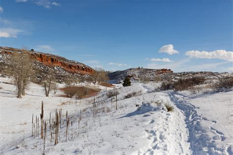 8 Best Day Hikes in Fort Collins, Colorado