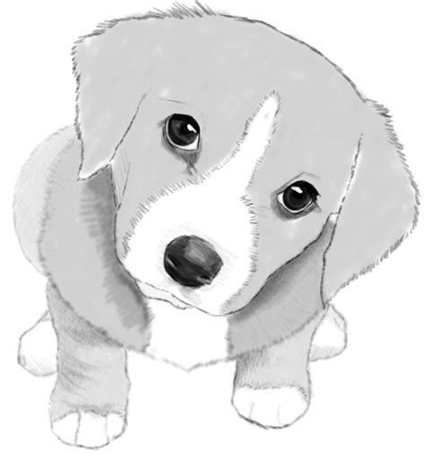 Easy Drawings Of Cute Dogs