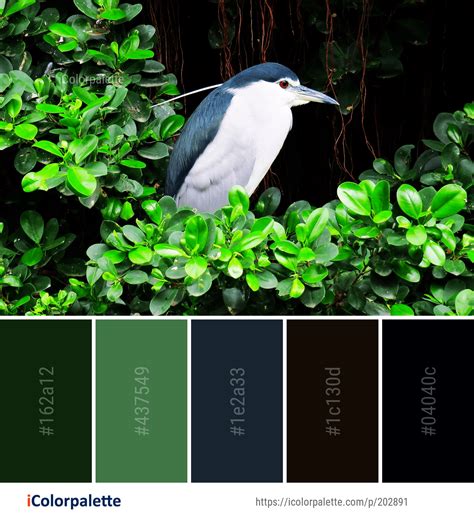 Color Palette Ideas From 2967 Leaf Images Icolorpalette Silver