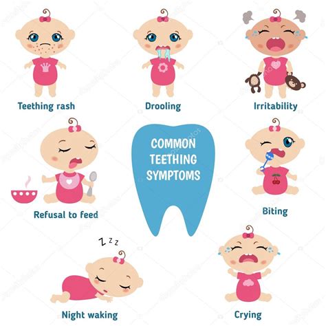 Síntomas de dentición del bebé vector, gráfico vectorial © NinaMunha ...