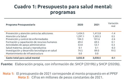 Presupuesto Para Salud Mental Relevancia Ante La Covid19 Ciep