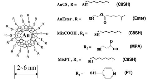 Chemical Structures Of Four Monolayer Protected Gold Nanoclusters Download Scientific Diagram