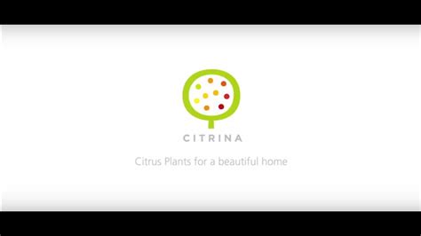 Citrina Corporate Official Video - YouTube