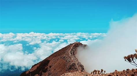 Ini Daya Tarik Pendakian Gunung Raung Mounture