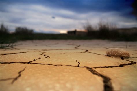 Día Mundial contra la Desertificación y la Sequía Un Llamado a la Ac