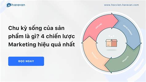 Chu kỳ sống của sản phẩm là gì Cách áp dụng trong Marketing