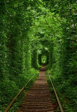 "Tunnel Of Love" Images – Browse 635 Stock Photos, Vectors, and Video ...