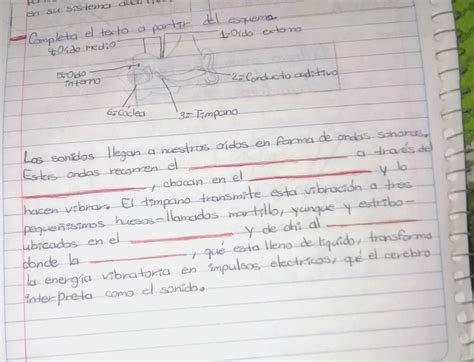 Me Pueden Ayudar Por Favor Es Para Hoy Y Doy Coronita Brainly Lat