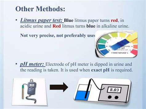 Physical And Chemical Examination Of Urine PPT