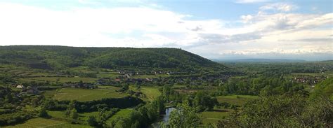 Z Binger Heiligenstein Tw Erste Lage Weingut Brandl Z Bing