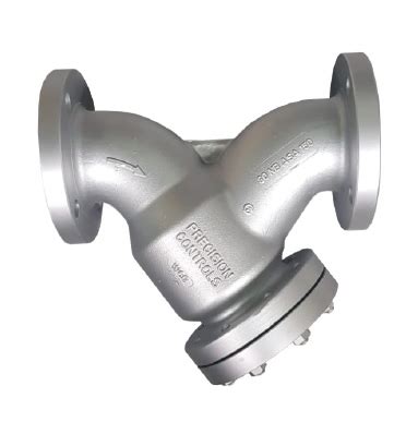 Cast Steel Y Type Strainer Flanged End Manufacturer Pune India