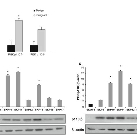 Protein Expression Of Various Isoforms Of PI3K P110 By Western Blotting