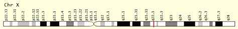 BTK Gene GeneCards BTK Protein BTK Antibody