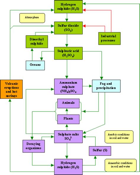 Environmental Sciences: Biogeochemical cycles: Sulphur cycle